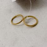 870 3010 RINGS